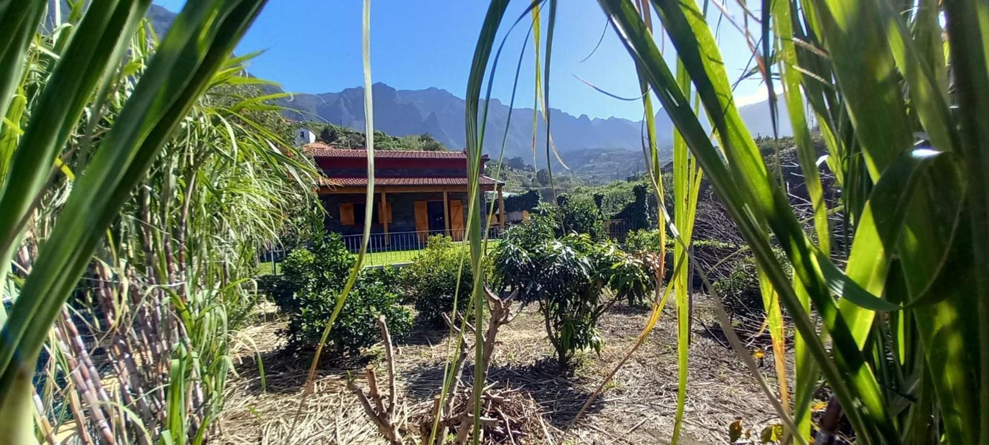 São VicenteRefugio Do Limoeiro别墅 外观 照片