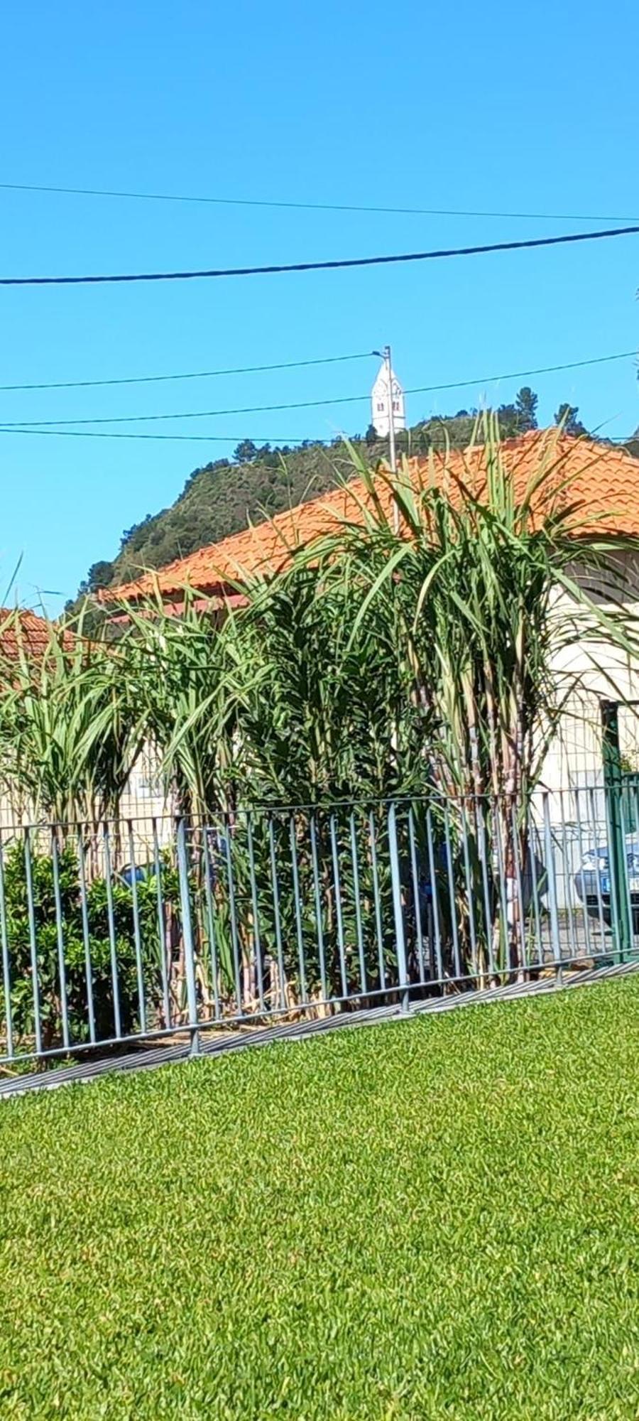 São VicenteRefugio Do Limoeiro别墅 外观 照片