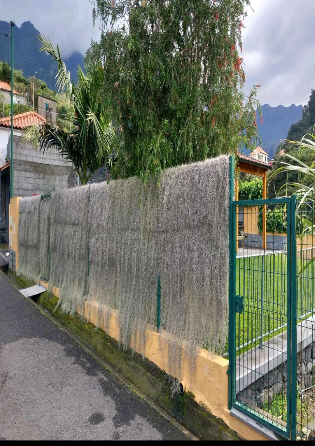 São VicenteRefugio Do Limoeiro别墅 外观 照片